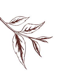 leave-img